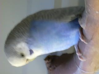 DSCN1223.jpg