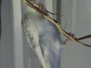 DSCN1225.jpg