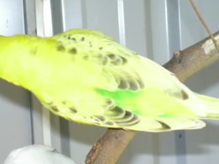 DSCN1229.jpg