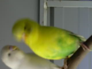 DSCN1230.jpg