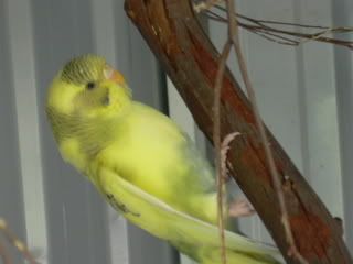 DSCN1238.jpg