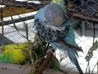 DSCN1299.jpg