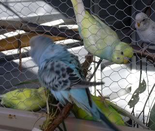 DSCN1301.jpg