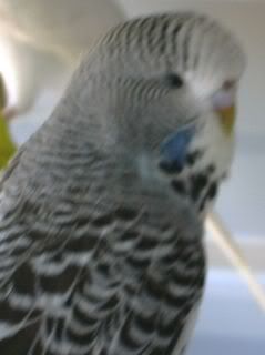 DSCN1360.jpg