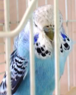 DSCN1508.jpg
