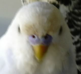 DSCN1538.jpg