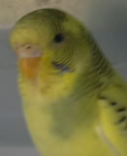DSCN1542.jpg
