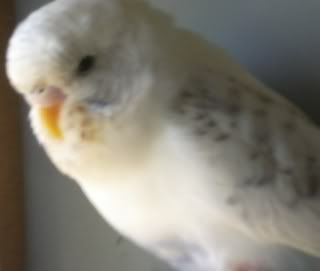 DSCN1549.jpg
