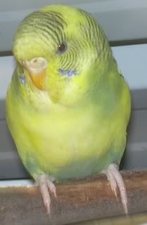 DSCN1555.jpg