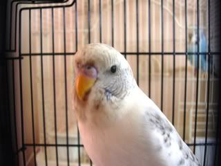 DSCN1573.jpg