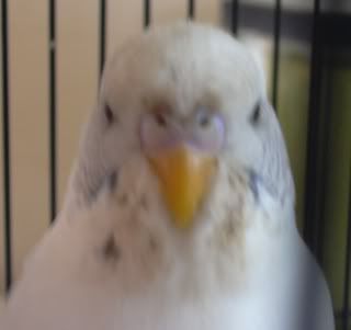 DSCN1586.jpg