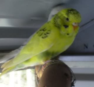 DSCN1656.jpg