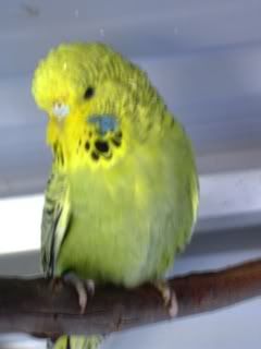 DSCN1658.jpg