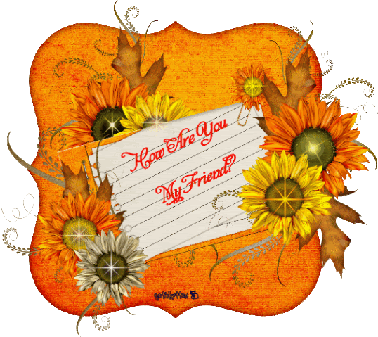 How are You Friend Pictures, Images and Photos