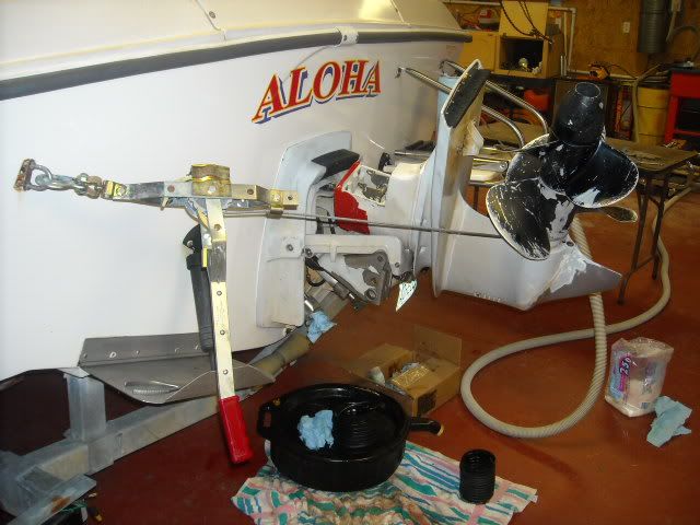 DSCN1172.jpg