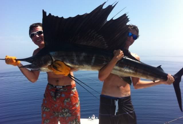 sailfish.jpg