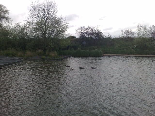 04052009131.jpg