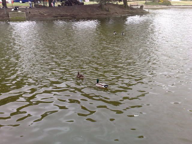 04052009132.jpg