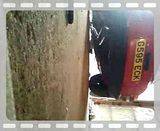 Posted Image