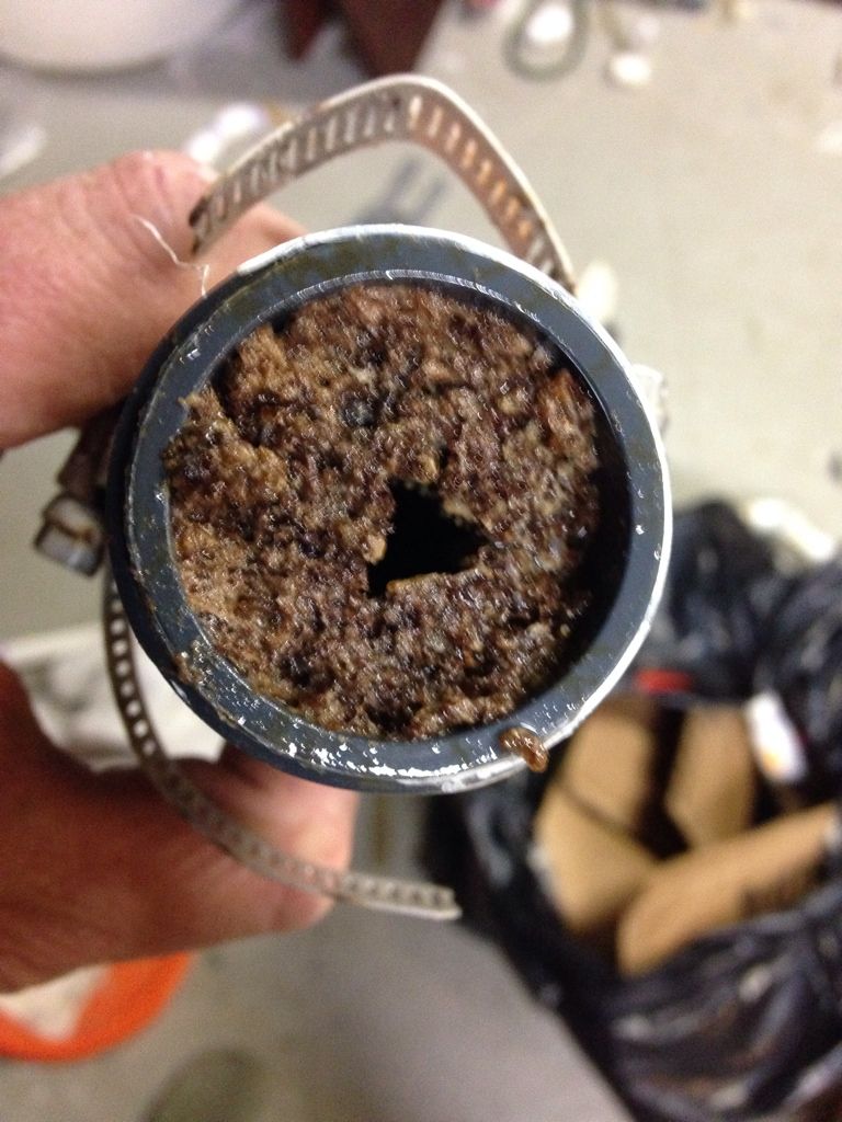 C7C6E6CA 2D26 4C98 8D97 F0863D1E3AA0 1452 000001D9841C2587 zpsc1af647c - Anyone ever check their pipes?