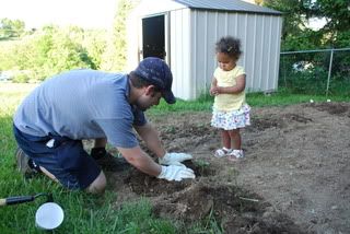 Planting Brooklyns pumpkin seeding...