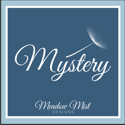2015/16 Midnight Mystery Quilt