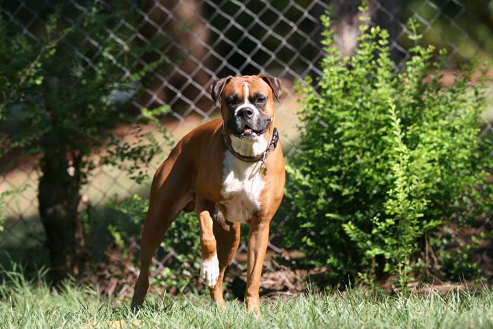 IMAGE: http://i157.photobucket.com/albums/t75/mikenc1515/09-18-07023-720-8.jpg