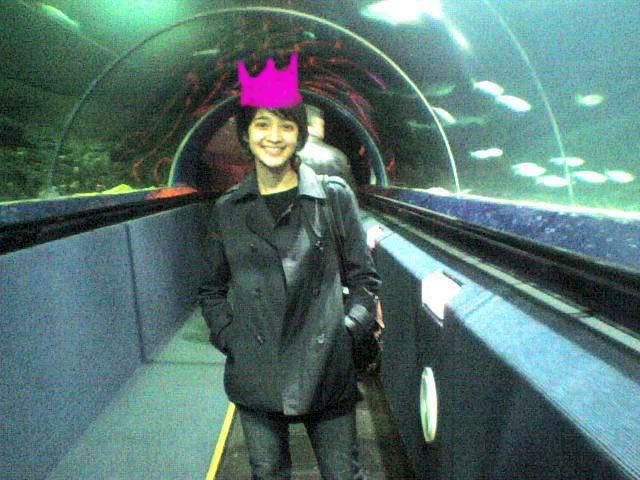 Photo Sharing and Video Hosting at Photobucket