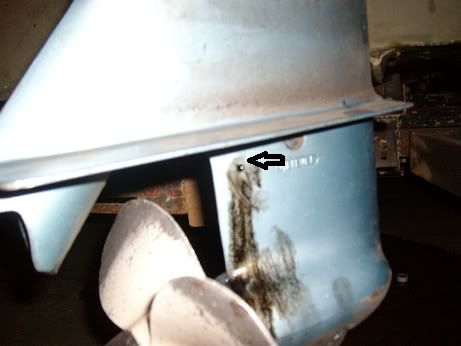 SANY0292.jpg