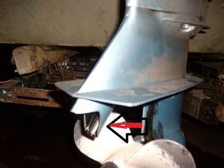 SANY0294.jpg