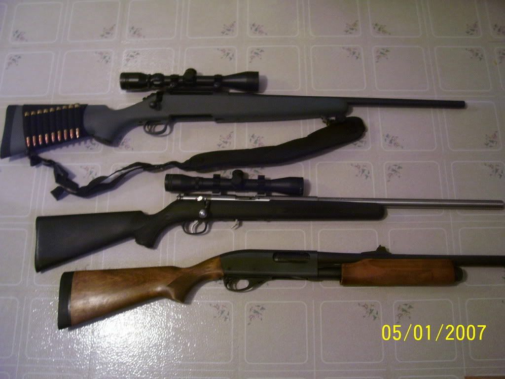 remington 270 rifle blind
