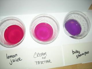 chemistry red cabbage prac The simple lab report the simple report is generally only two to five pages long, and usually consists of the following: aims method results conclusion discussion. chemistry red cabbage prac The simple lab report the simple report is generally only two to five pages long, and usually consists of the following: aims method results conclusion discussion.