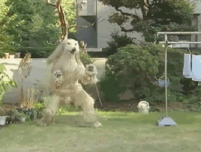 1269372211213.gif
