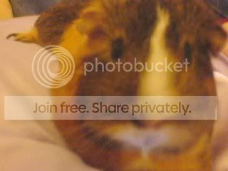 DSC01467.jpg