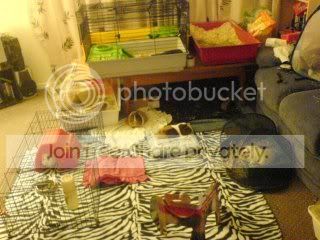 DSC01854.jpg