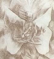 Dibujo-10.jpg