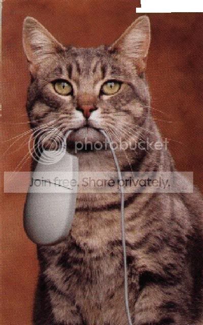 catmouse.jpg
