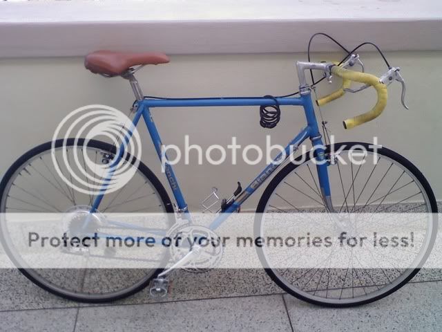 bianchi randonneur