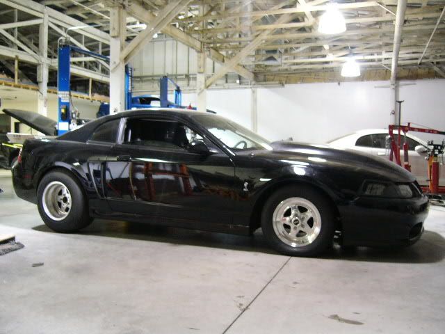 Ford mustang weld prostars #6