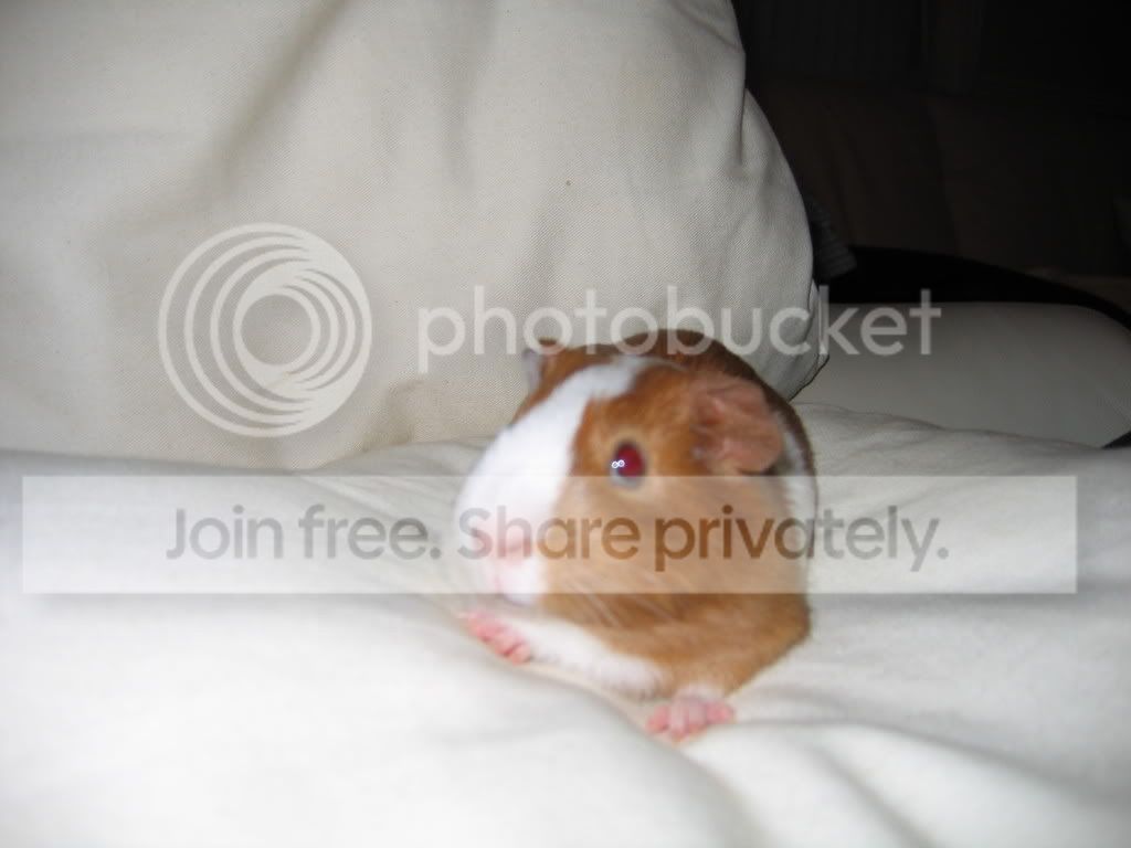 Picture.jpg