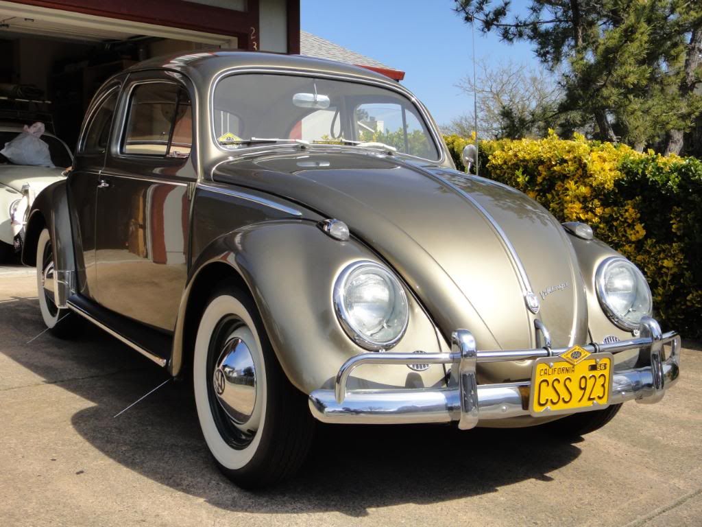 TheSamba.com :: Beetle - 1958-1967 - View topic - L245 and L243