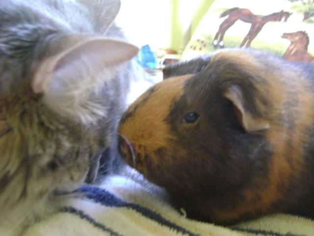DSC03805.jpg
