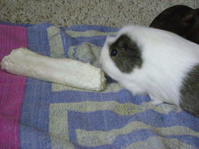 DSC03848.jpg