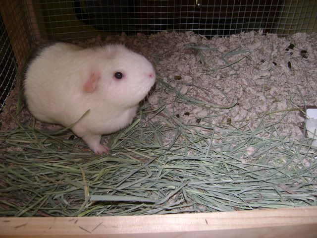 DSC03961.jpg