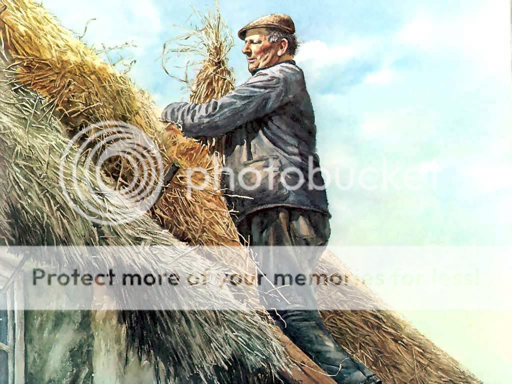 ireland_csg004_roof_thatching-ladys.jpg