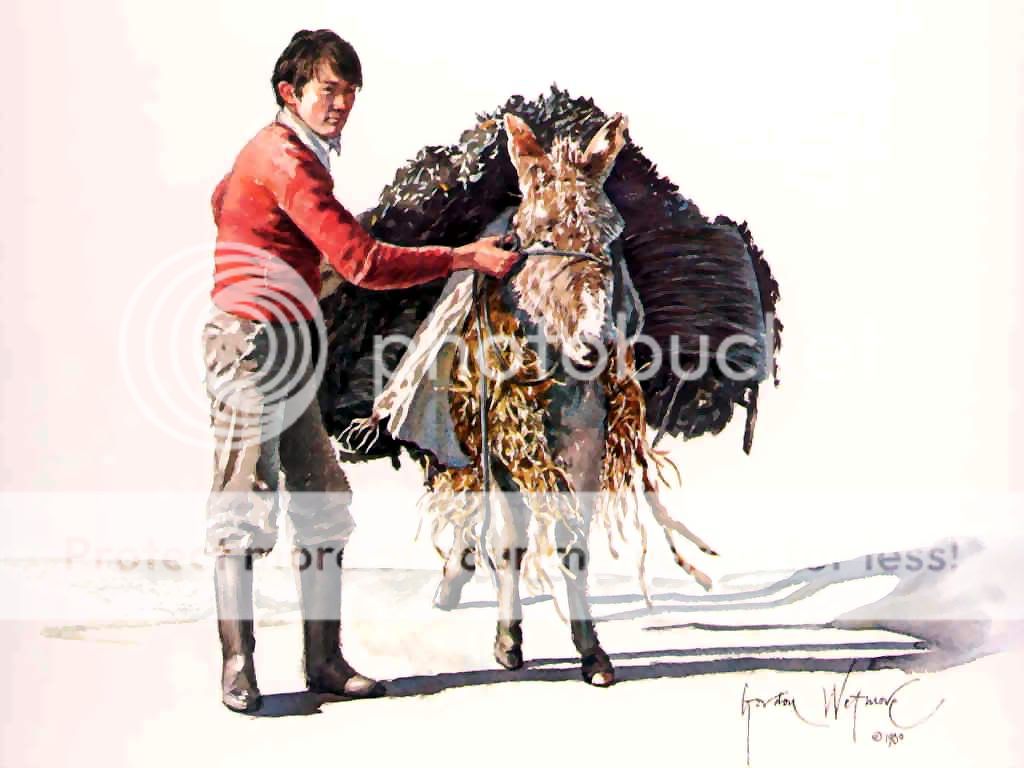 ireland_csg022_man_with_donkey-cost.jpg