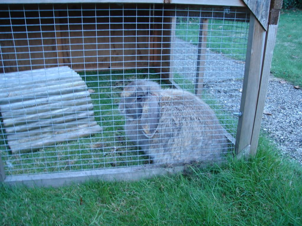 DSC00110.jpg